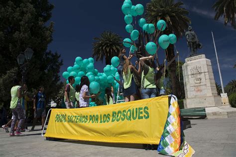 Fundación Greenpeace Argentina Nunca es tarde para sumarte