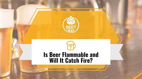 Is Beer Flammable And Will It Catch Fire Read This To Know