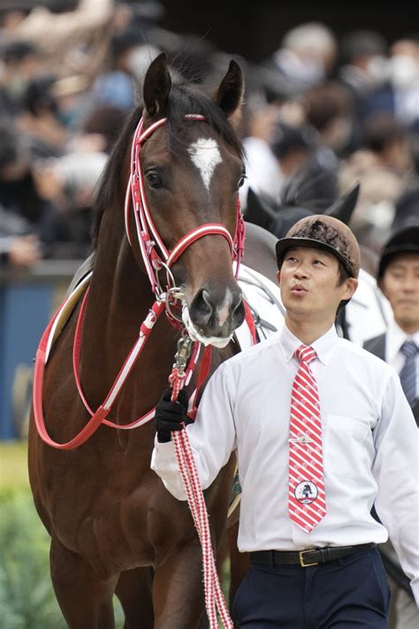 お馬deこぐま On Twitter 20221009 東京5r 2歳新馬戦 ミッキーカプチーノ And 戸崎圭太j エピファネイア産駒