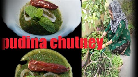 Pudina Chutney পুদিনা পাতার চাটনি জিভে জল এনে দেবে এই রেসিপি