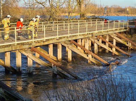 FF Sarstedt Baum vor der Leinebrücke