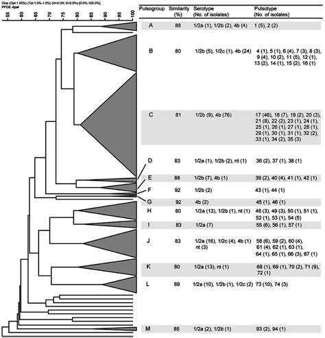 Dendrogram Showing The Pfge Analysis With The Most Relevant