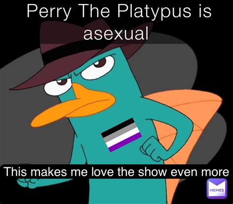 Perry The Platypus Is Asexual This Makes Me Love The Show Even More