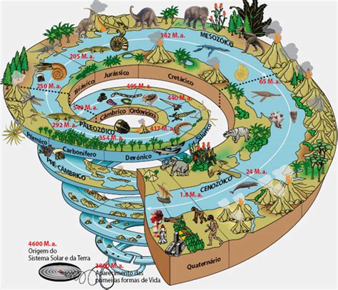 La Historia De La Biología Evolución Eras Geológicas