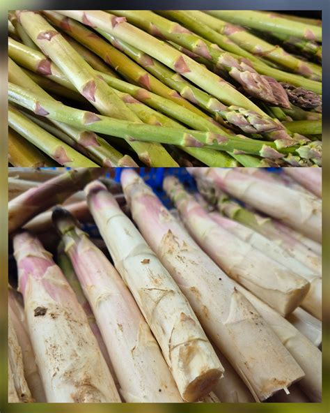 Asperges Blanches Et Vertes La Ferme De Vialard