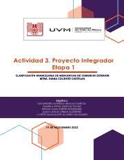 Act Eq Pdf Actividad Proyecto Integrador Etapa Clasificaci N