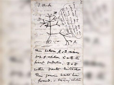 Deux Carnets De Notes De Charles Darwin Vol S De L Universit De