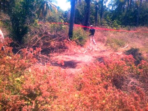 Hallan Tres Cuerpos En Dos Fosas Clandestinas De Acapulco