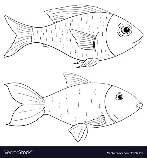 Top 999 Fish Drawing Images Amazing Collection Fish Drawing Images