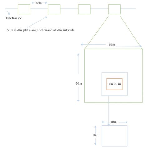 Experimental Plot Layout Of Nested Plot Design 1 M × 1 M For Herbs And