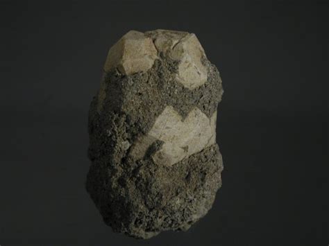 leucite david  joyce minerals