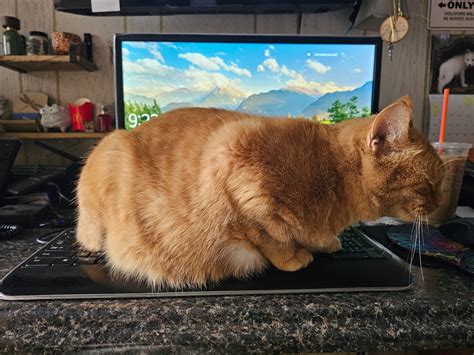 Memorial Services and Obituaries at Acly-Stover Funeral Home 22