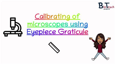 Eyepiece Graticule And Stage Micrometer A Level Biology Bioteach