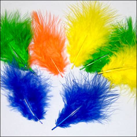 Turkey Feathers | Turkey Quill Feathers | Wholesale Feathers.