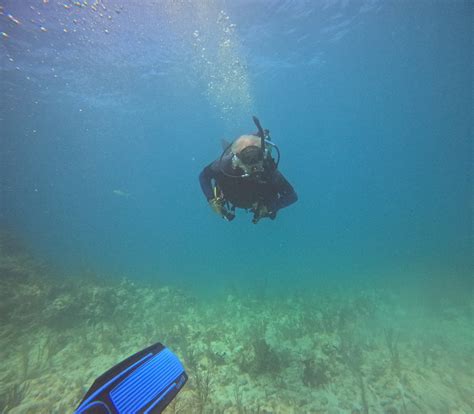 Padi Dive Courses Key Largo Dcim Gopro Gopr Flickr