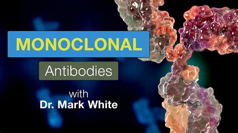 Monoclonal Antibodies Treatment Options Explained Youtube