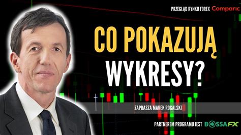 Dolar pozostaje w lekkiej korekcie i może znów zyskiwać Świat walut