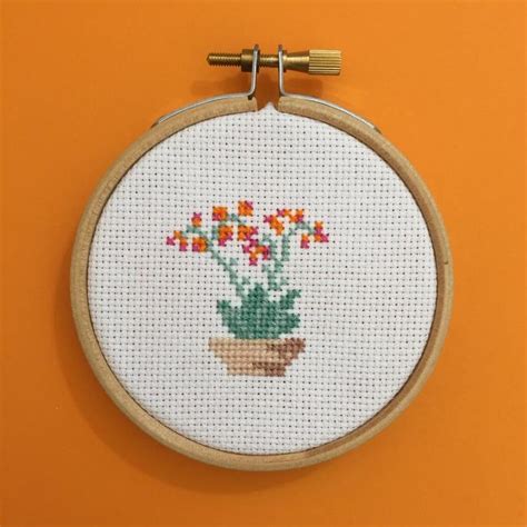 A Small Potted Plant With Flowers In It On An Orange Wall Behind A Hoop