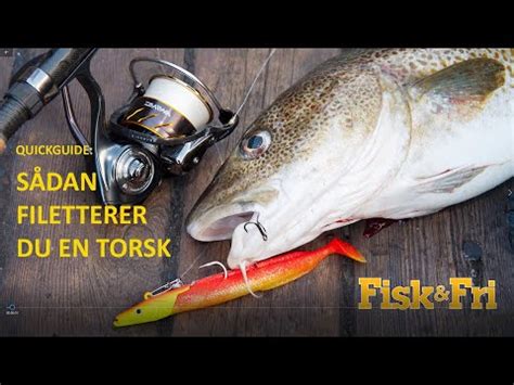 Quickguide S Dan Filetterer Du En Torsk Fisk Fri