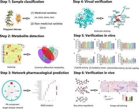 Frontiers Integrated Comparative Metabolomics And Network