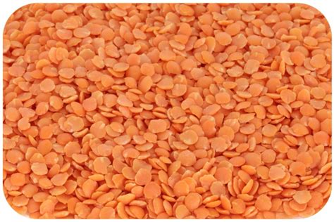 Organic Red Lentil Split Nature Bio Foods