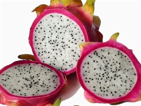 Filos Fico Miembro Esperar Beneficios De La Pitaya Para El Cabello