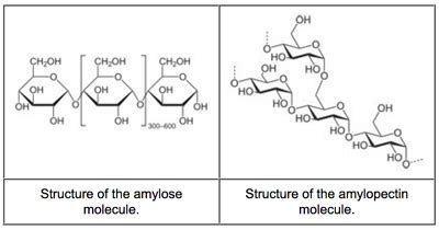 Corn Starch Structure