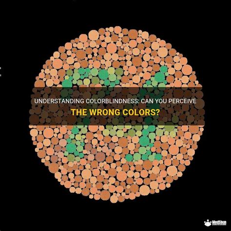 Understanding Colorblindness Can You Perceive The Wrong Colors Medshun