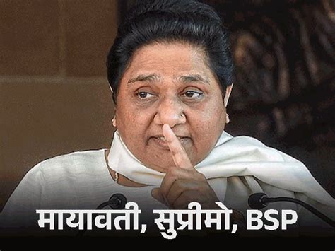 Haryana Election 2024 Mayawati Bsp Dalit Vote Bank Strategy Vs Bjp