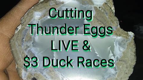 Cutting Thunder Eggs Live Duck Races Youtube