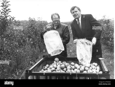 Pome Fruit Black And White Stock Photos And Images Alamy