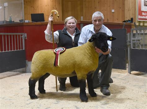 Homes for sale in suffolk are selling at record prices 18