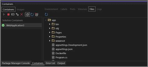 Windows 上的 Visual Studio 容器工具 和 Docker Visual Studio Windows