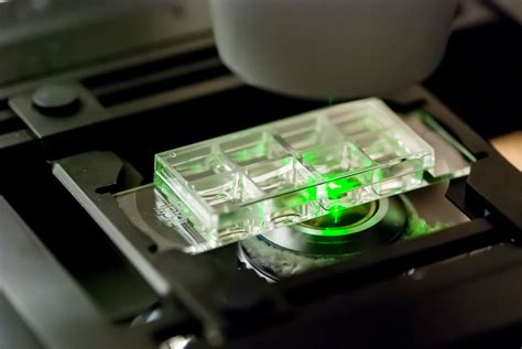 Order - Gulliver Biomed