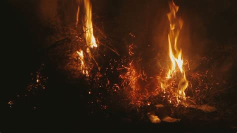 Fire on the field burning dry grass at night Stock Footage,#burning#dry ...