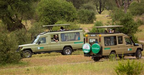 The Best Tanzania Safari Tour Packages - MANGOKILI ADVENTURES