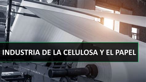 PDF INDUSTRIA DE LA CELULOSA Y EL PAPELfing Uncu Edu Ar Catedras