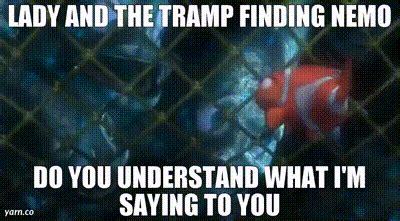 YARN LADY AND THE TRAMP FINDING NEMO DO YOU UNDERSTAND WHAT I M