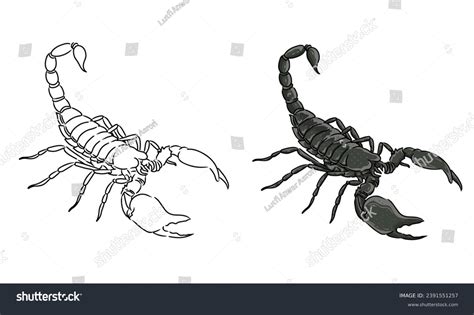 5,524 Scorpion Outline Images, Stock Photos, 3D objects, & Vectors ...