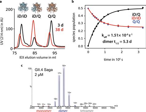 Dimer Exchange Kinetics Of Human NoV GII 4 Saga A P Domain Samples