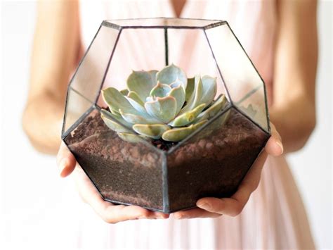 Enamórate de los terrarios geométricos Quiero una boda perfecta