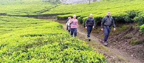 Munnar Trekking Adventure Lo Que Se Debe Saber Antes De Viajar Tripadvisor