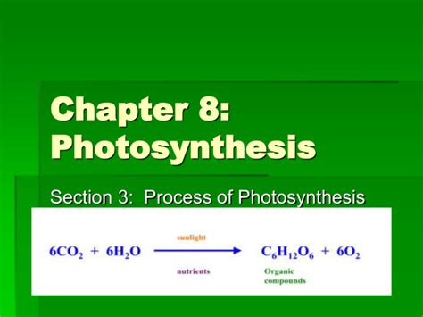 Chapter 8: Photosynthesis