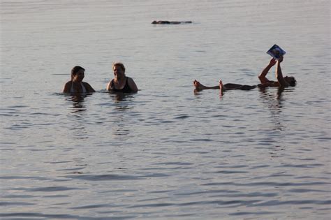 D Da Havet Jordanien Shahla Reseguiden