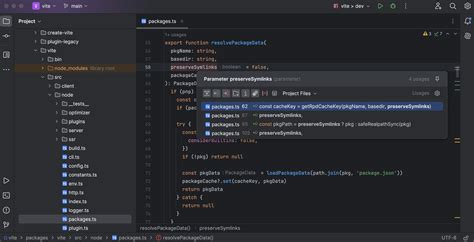 JetBrains WebStorm 2024 3 macOS Linux Windows 最智能的 JavaScript IDE