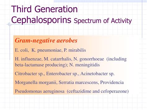 Ppt Antibiotics Powerpoint Presentation Free Download Id1210869