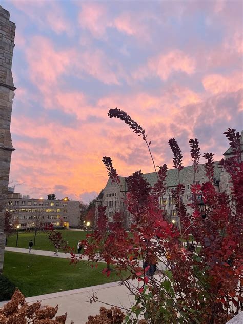 The 50 best colleges by value for 2023, ranked