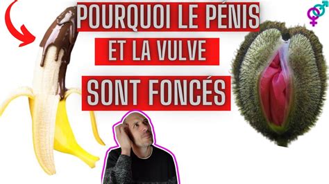 Pourquoi La Couleur Plus Foncé Pénis Vulve Partie Génital Youtube