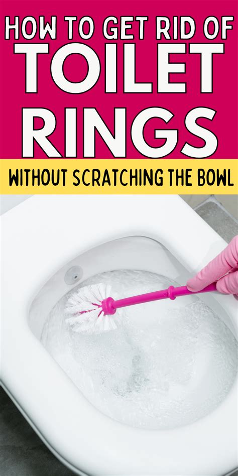 How To Get Rid Of Toilet Rings House Cleaning Tips Toilet Cleaning