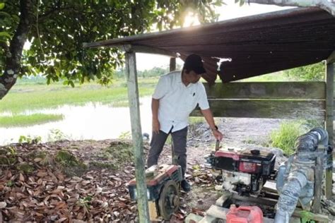 Gencarkan Pompanisasi Kementan Pacu Produksi Padi Kaltara